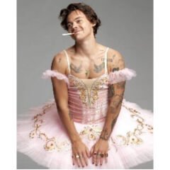 Kanvas Harry Styles Sayılarla Boyama Seti Kasnaklı