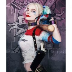 Kanvas Harley Quinn 2 Sayılarla Boyama Seti Kasnaklı