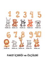 Sevimli Hayvanlar ve Sayılar Çocuk Odası Duvar Sticker