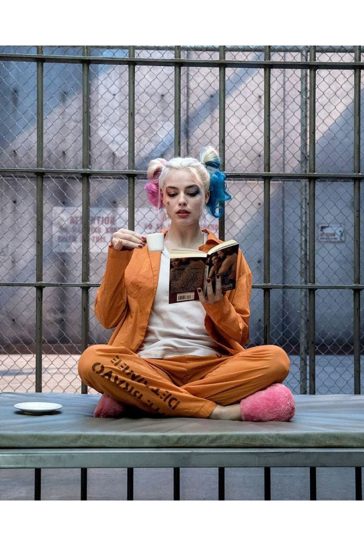 Kanvas Harleyquinn'İn Bir Günü Sayılarla Boyama Seti  Rulo